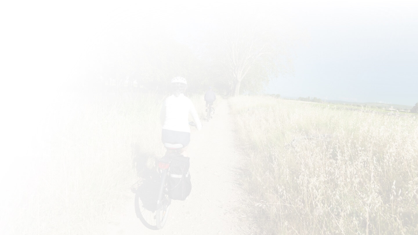 Cyclists riding along a path through the countryside